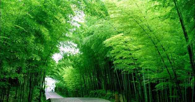 房山最权威易经大师推荐,问婚姻求得文王654卦什么意思,文王六十四卦解卦
