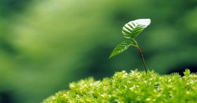 房山最权威易经大师推荐,问婚姻求得文王654卦什么意思,文王六十四卦解卦