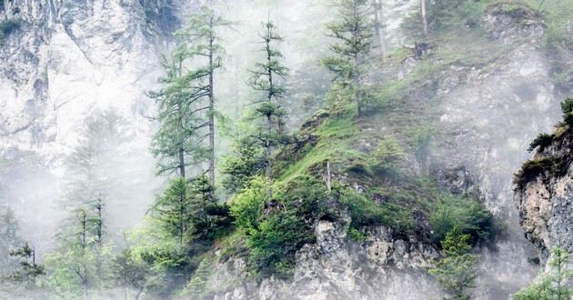 山东算命准的地方在哪里,姓名与人生免费测试算命,想给自己算命免费的